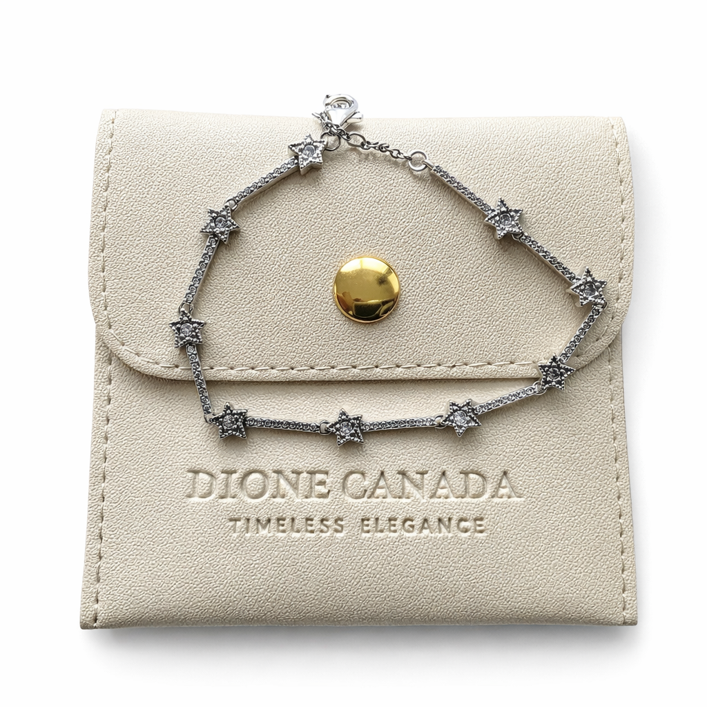 Dione Canada silver star link bracelet with crystal accents displayed on branded jewelry pouch
